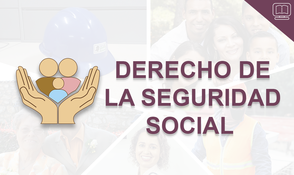 Derecho de la Seguridad Social IEDEP-DER604.V2