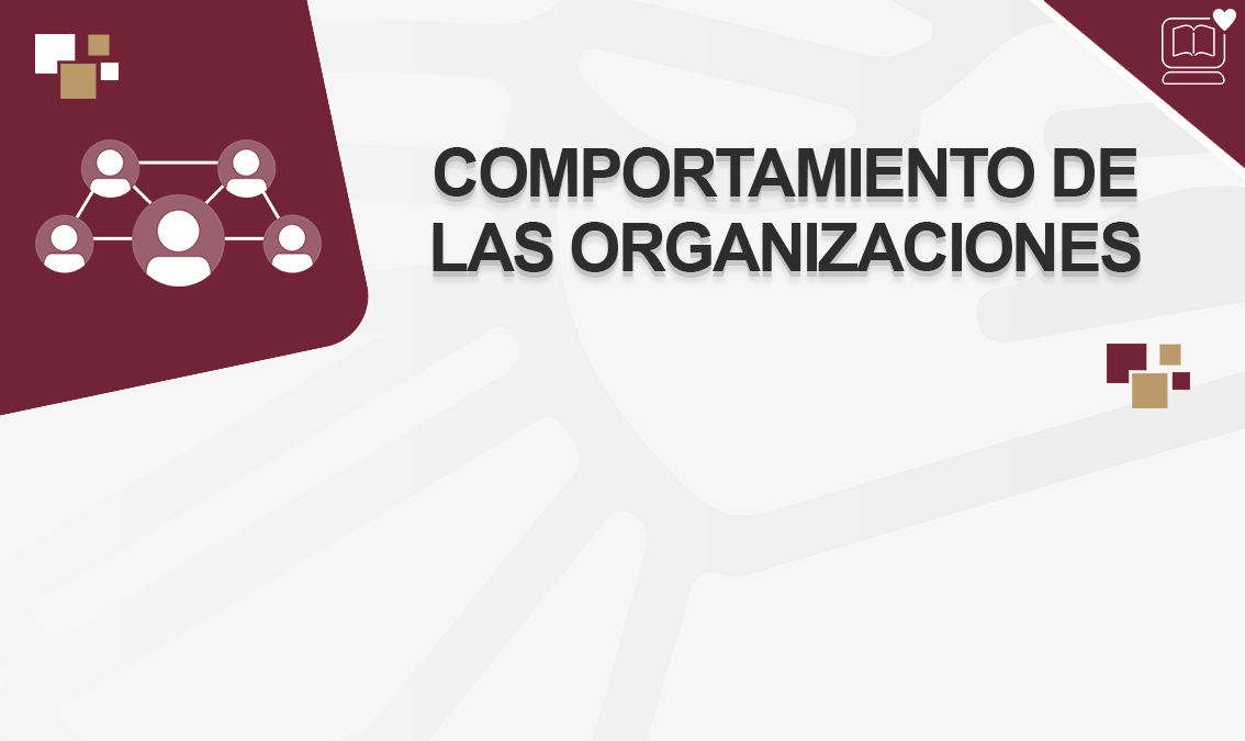 Comportamiento de las Organizaciones IEDEP.AD5050