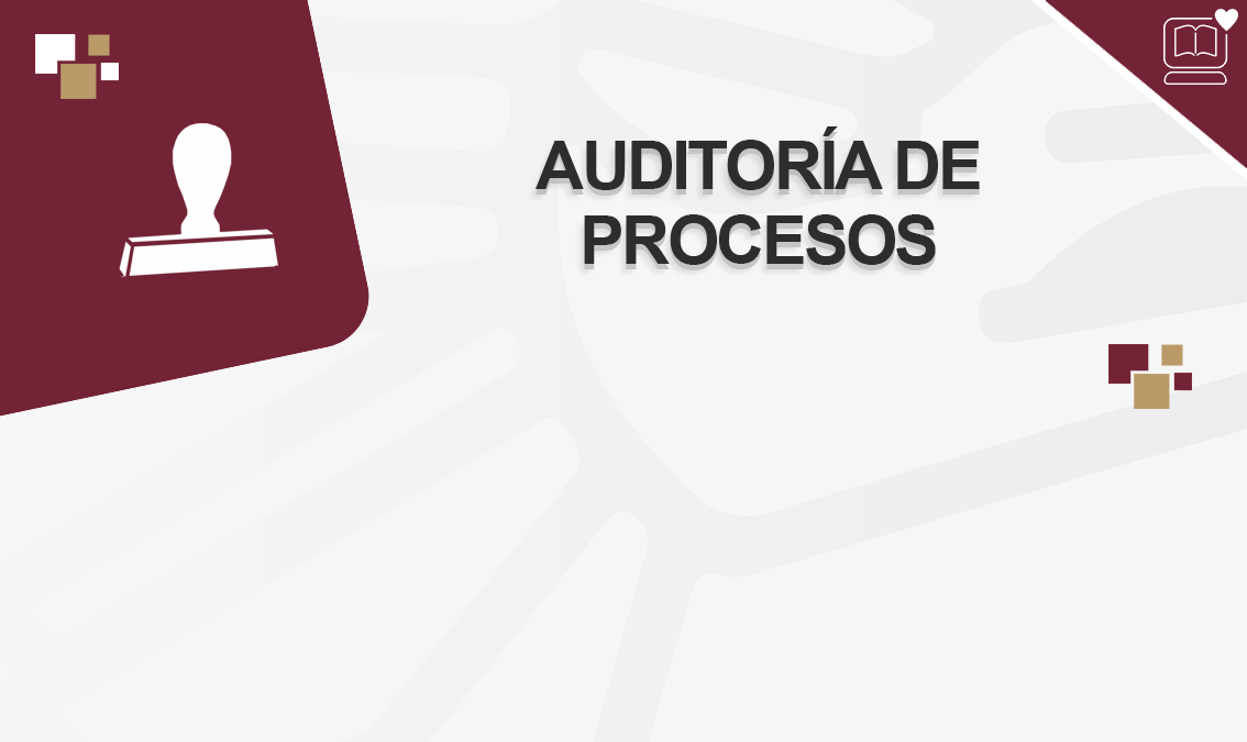 Auditoría de Procesos IEDEP.AD8050