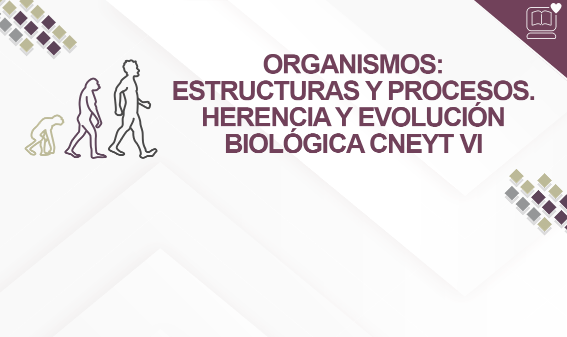 Organismos: Estructuras y Procesos. Herencia y Evolución Biológica CNEYT VI IEDEP.BGACNEYT06