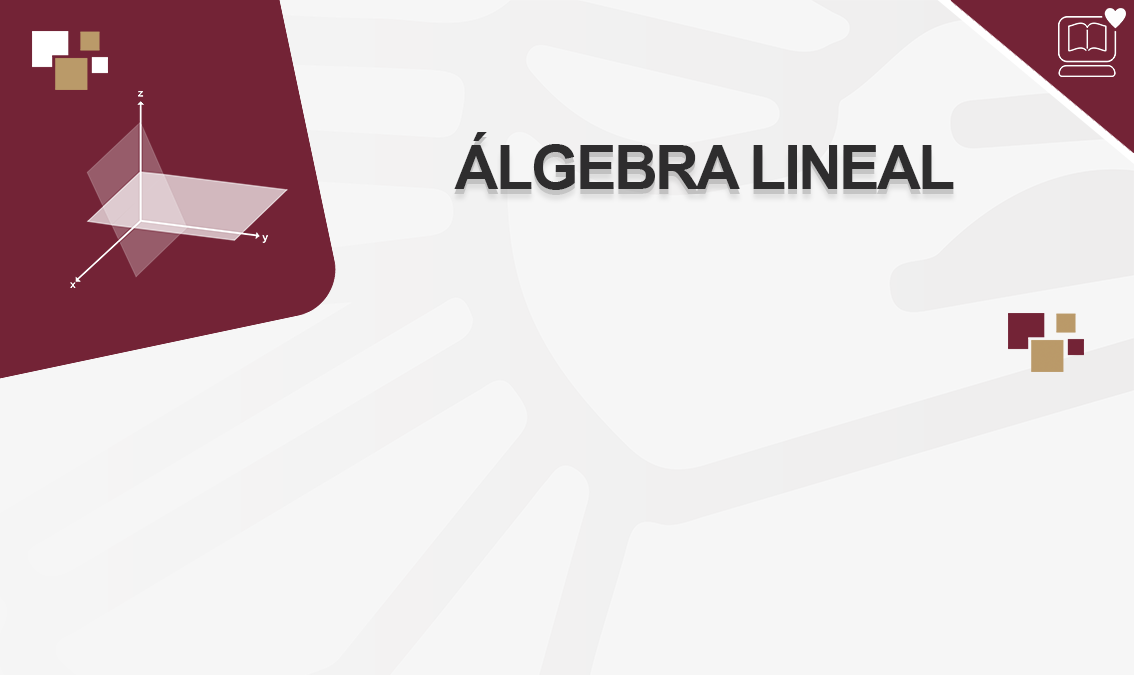 Álgebra Lineal IEDEP.CI1010.IC204.CII1010