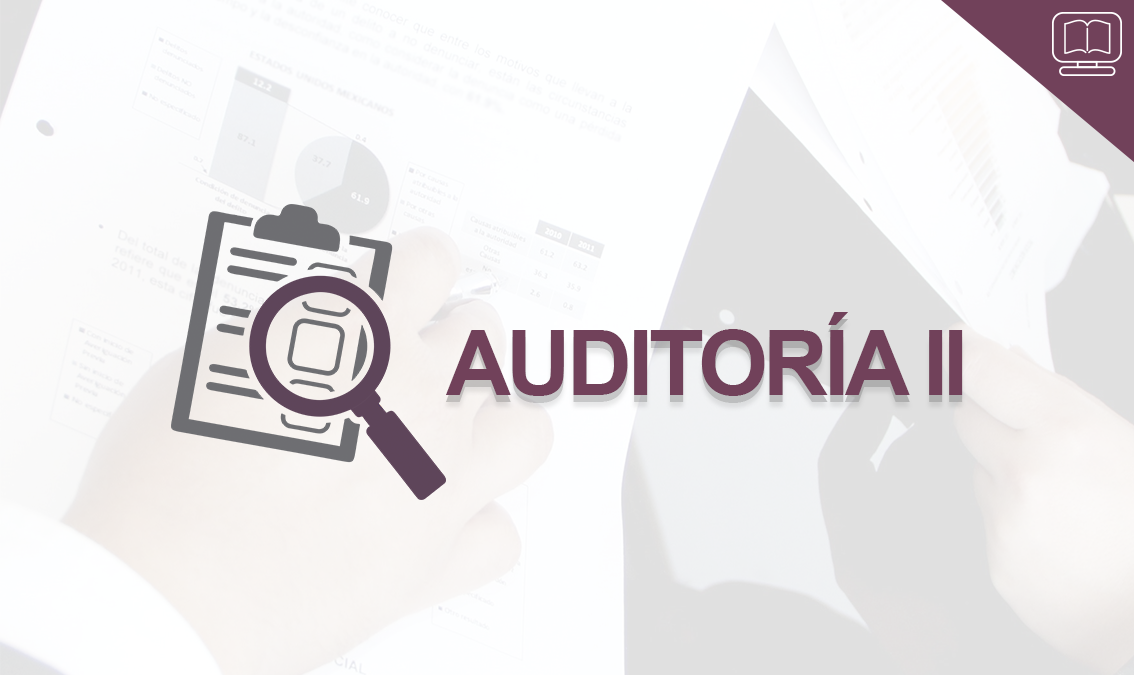 Auditoría II IEDEP.CO7050.V1