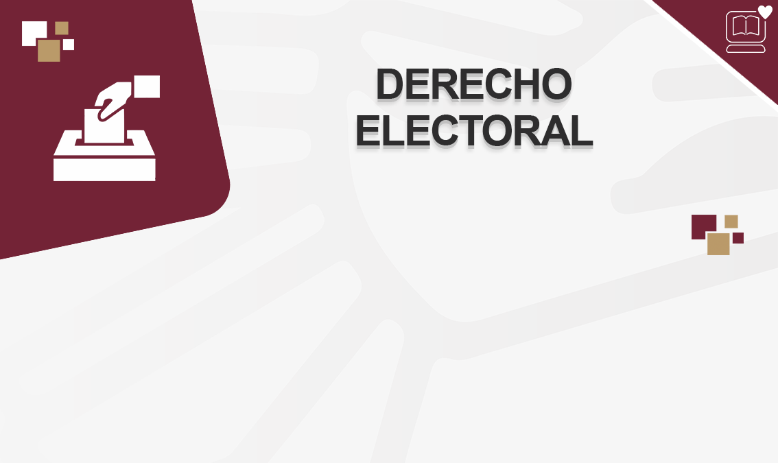 Derecho Electoral IEDEP.DER0804