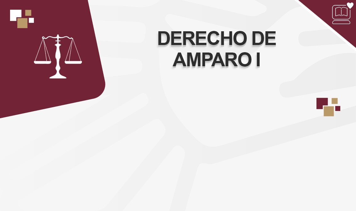 Derecho de Amparo I IEDEP.DER0805