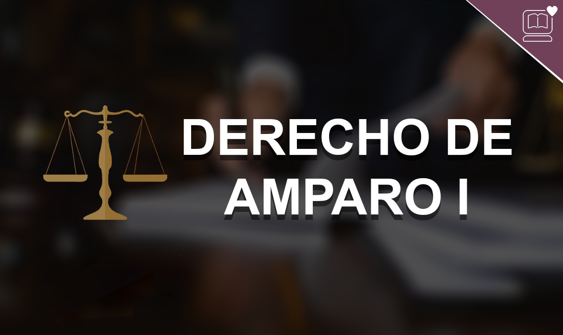 Derecho de Amparo I IEDEP.DER0805.V1