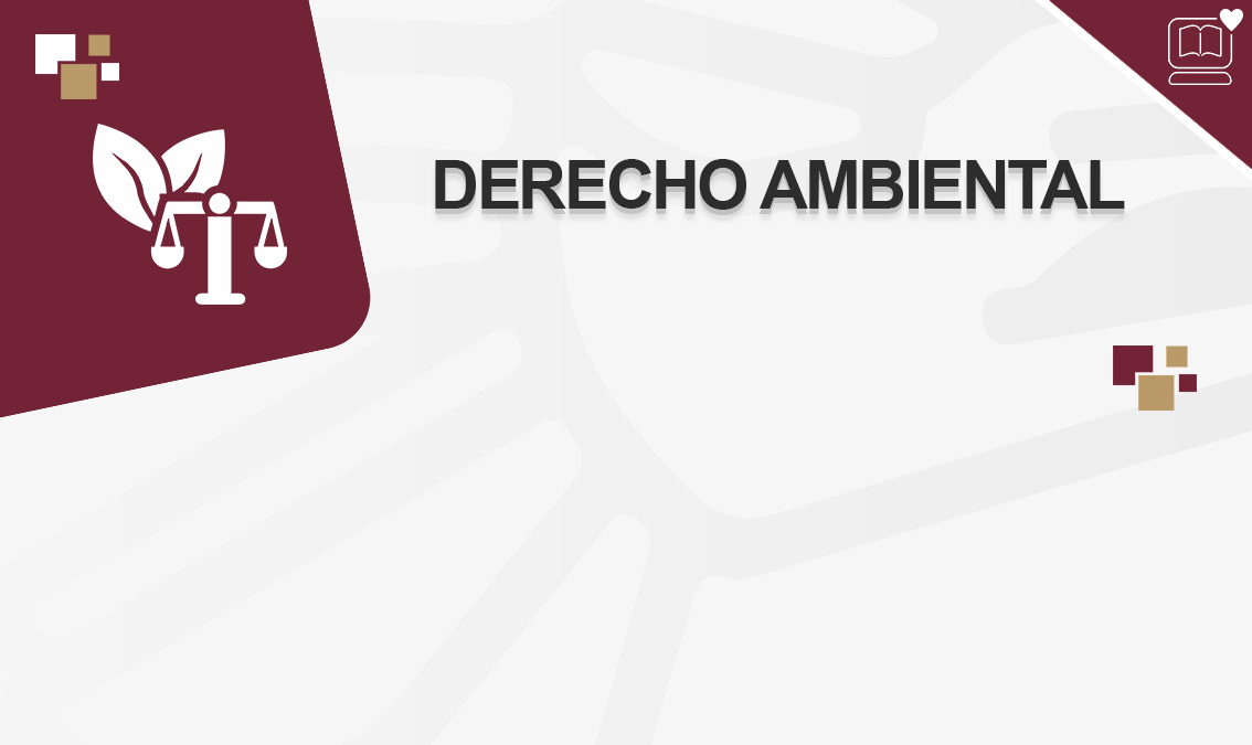 Derecho Ambiental IEDEP.DER0903.V1