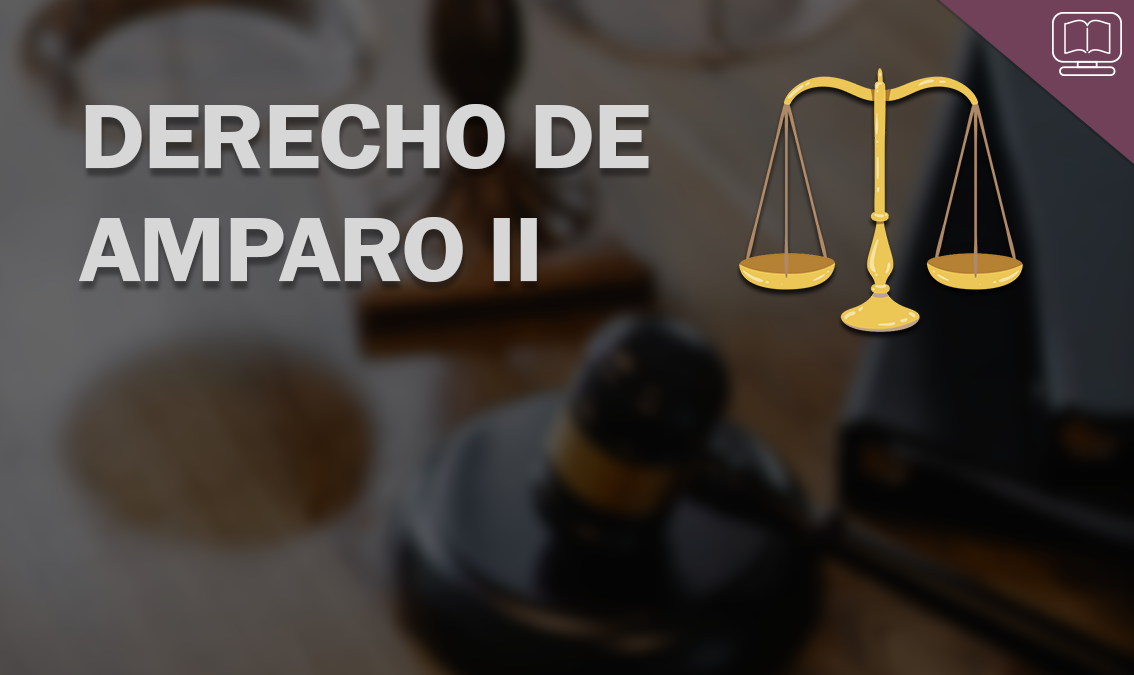 Derecho de Amparo II IEDEP.DER0905.V1