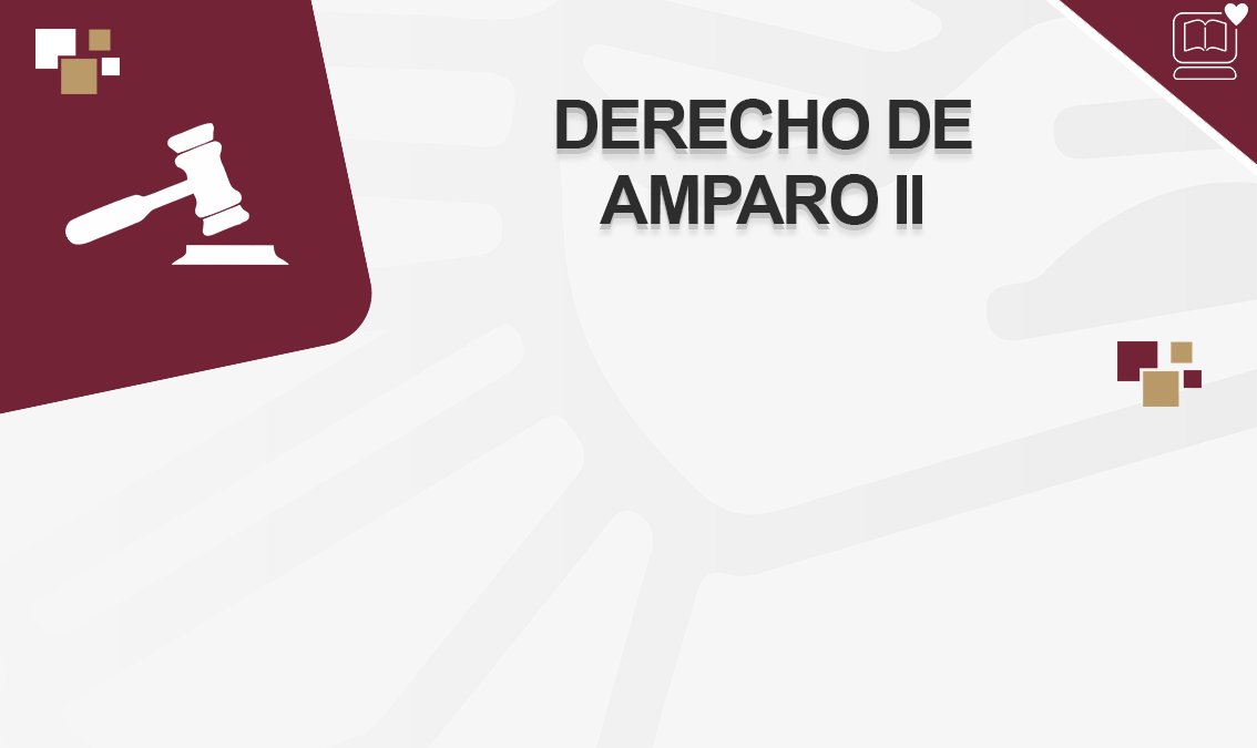 Derecho de Amparo II IEDEP.DER0905.V1