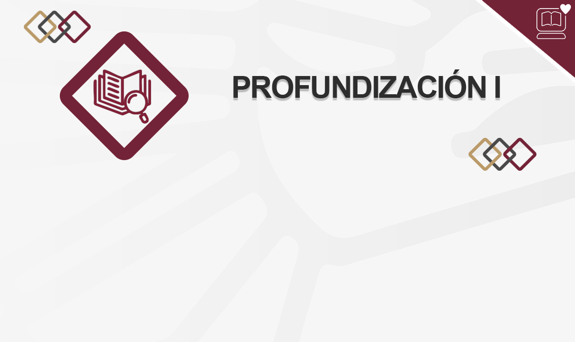 Profundización I IEDEP.DET126731