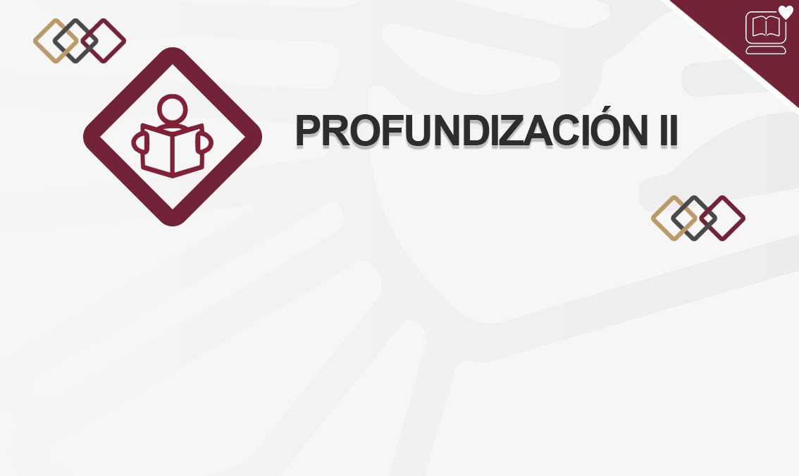 Profundización II IEDEP.DET126831