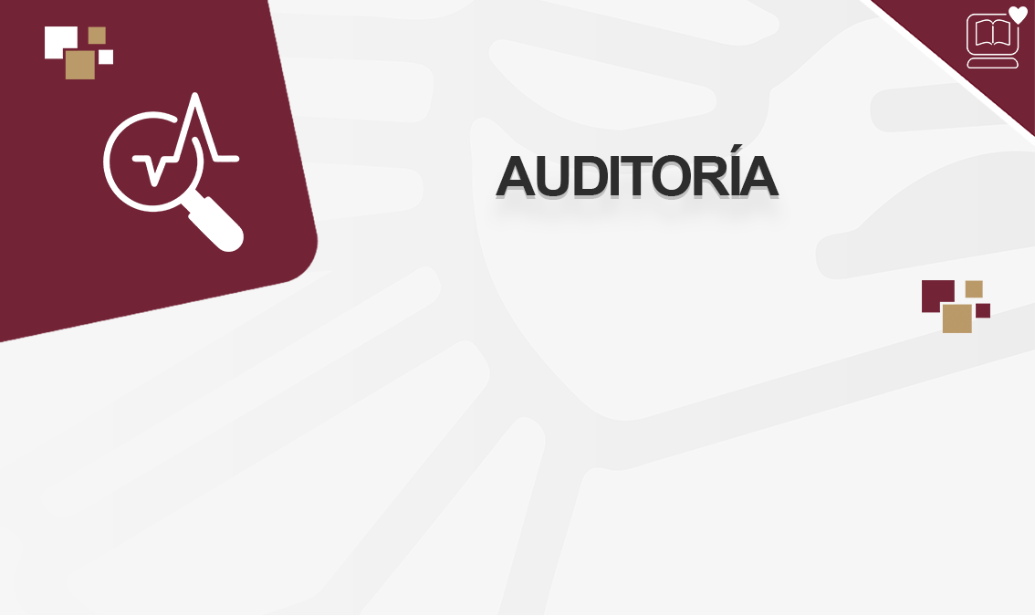 Auditoría IEDEP.LAE425576