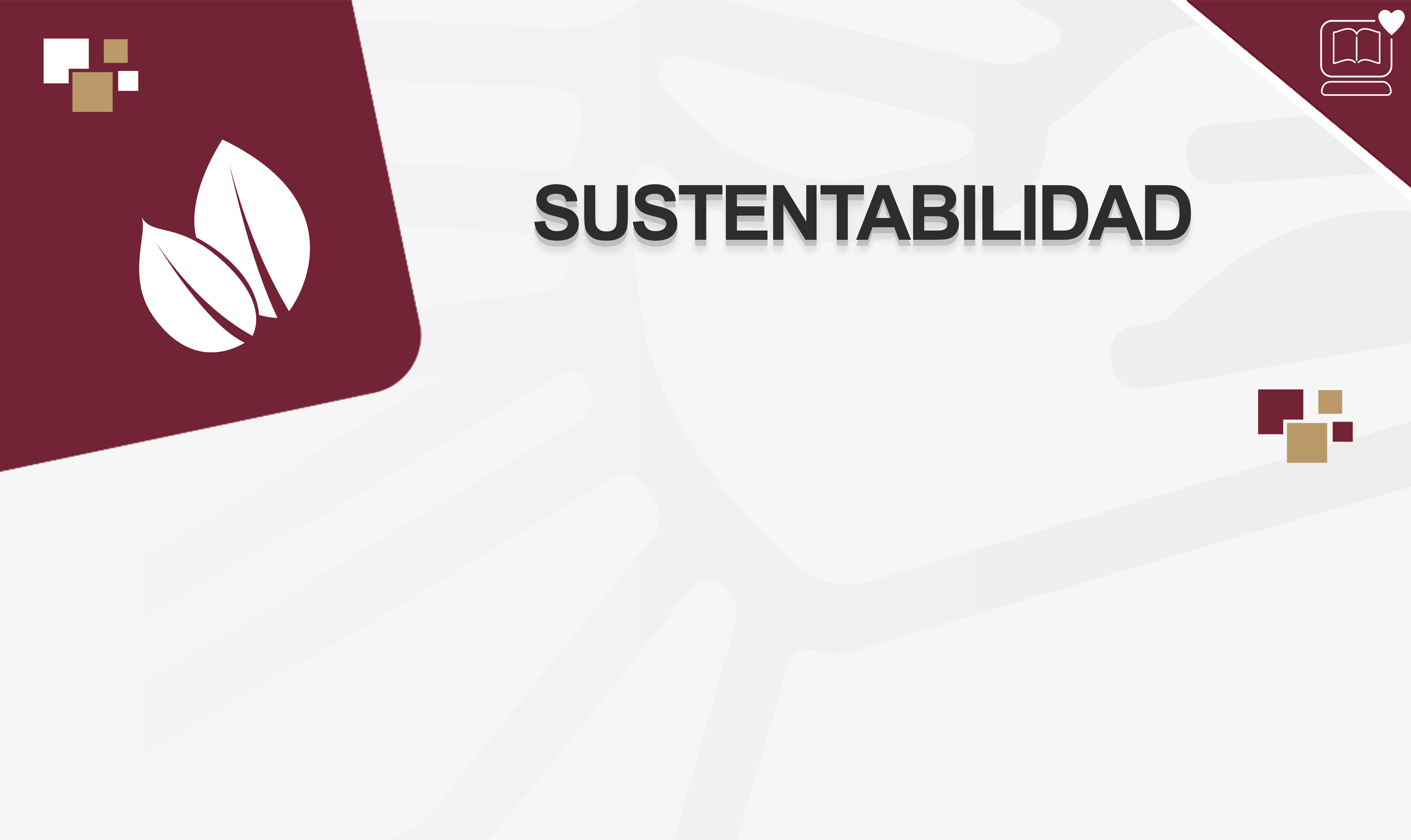 Sustentabilidad IEDEP.LFG24441