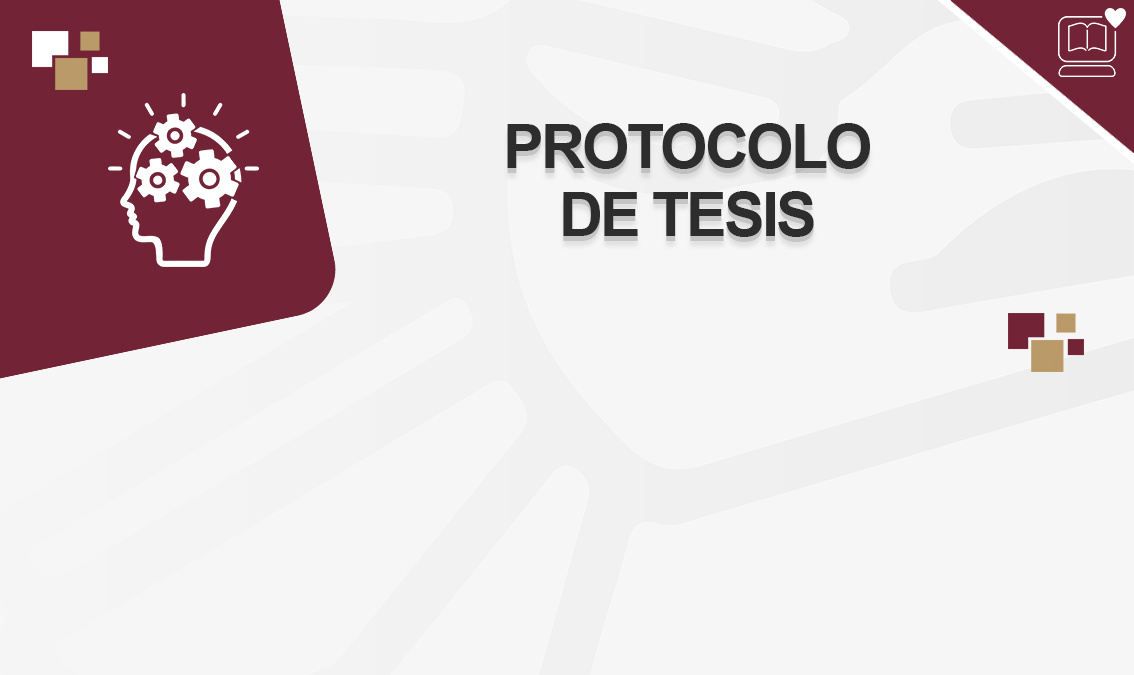 Protocolo de Tesis IEDEP.LFG24841