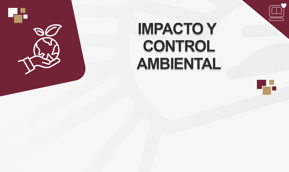Impacto y Control Ambiental IEDEP.LIC726866