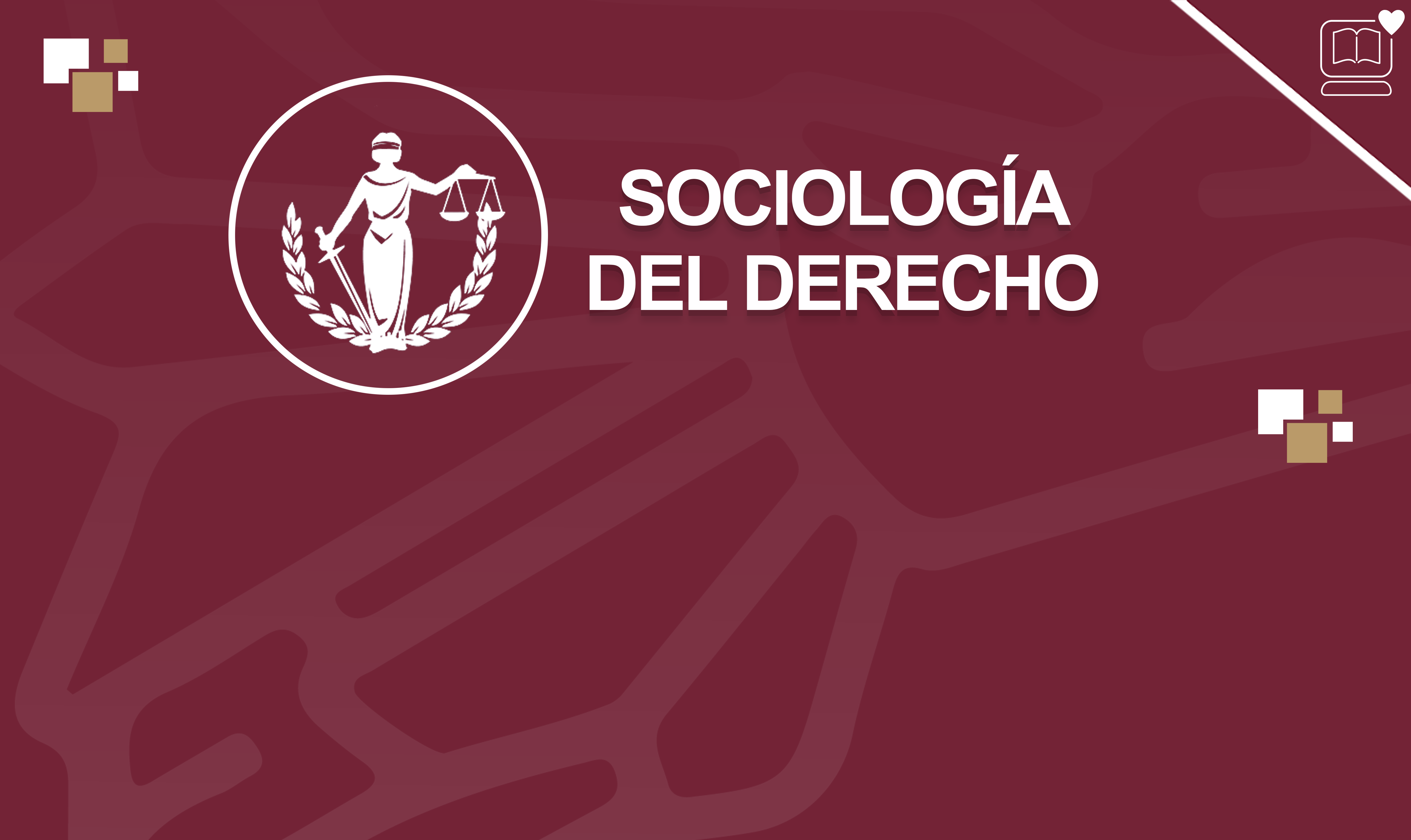 Sociología del Derecho IEDEP.MDE224163.V1