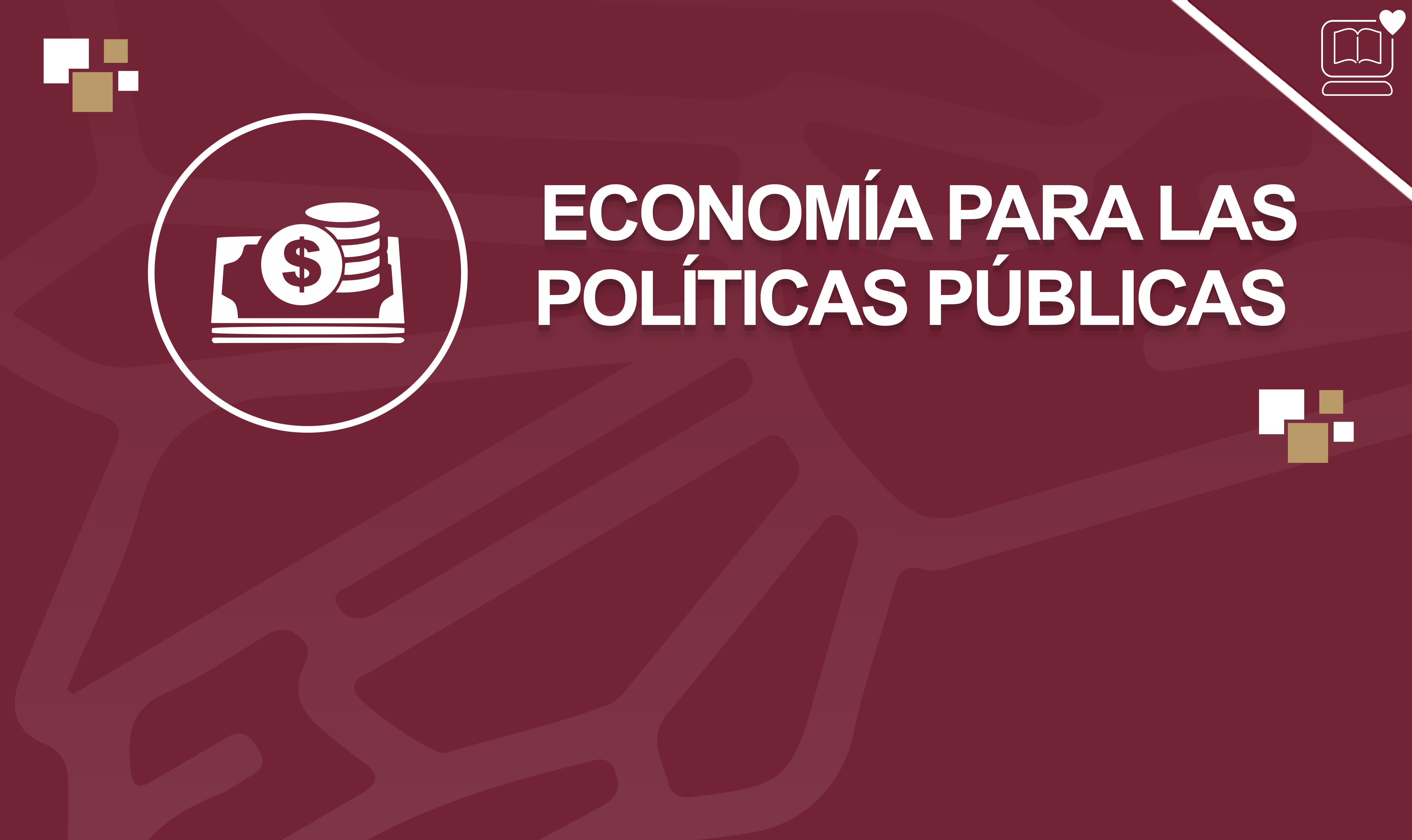 Economía para las Políticas Públicas  IEDEP.MPP224362