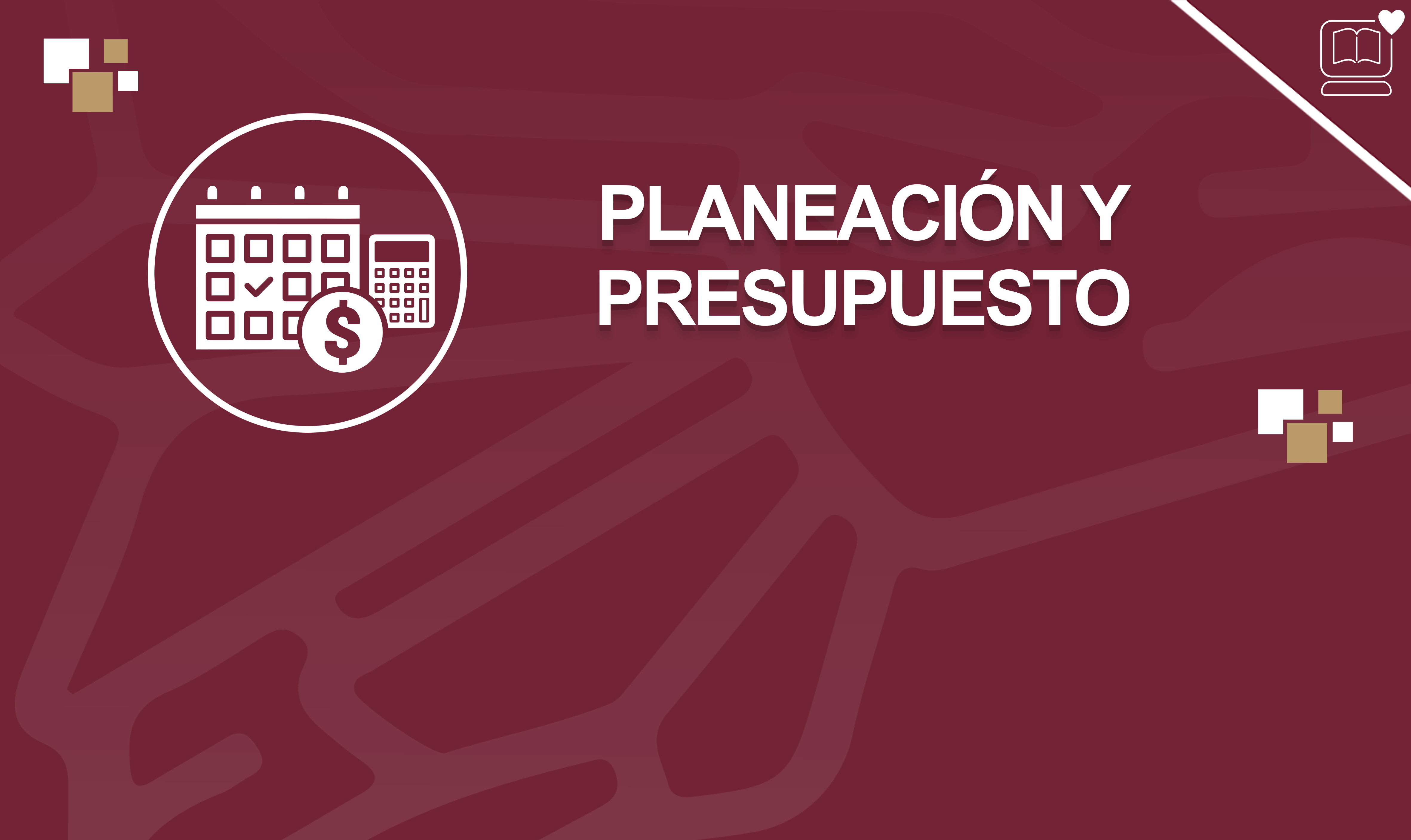 Planeación y Presupuesto IEDEP.MPP224371