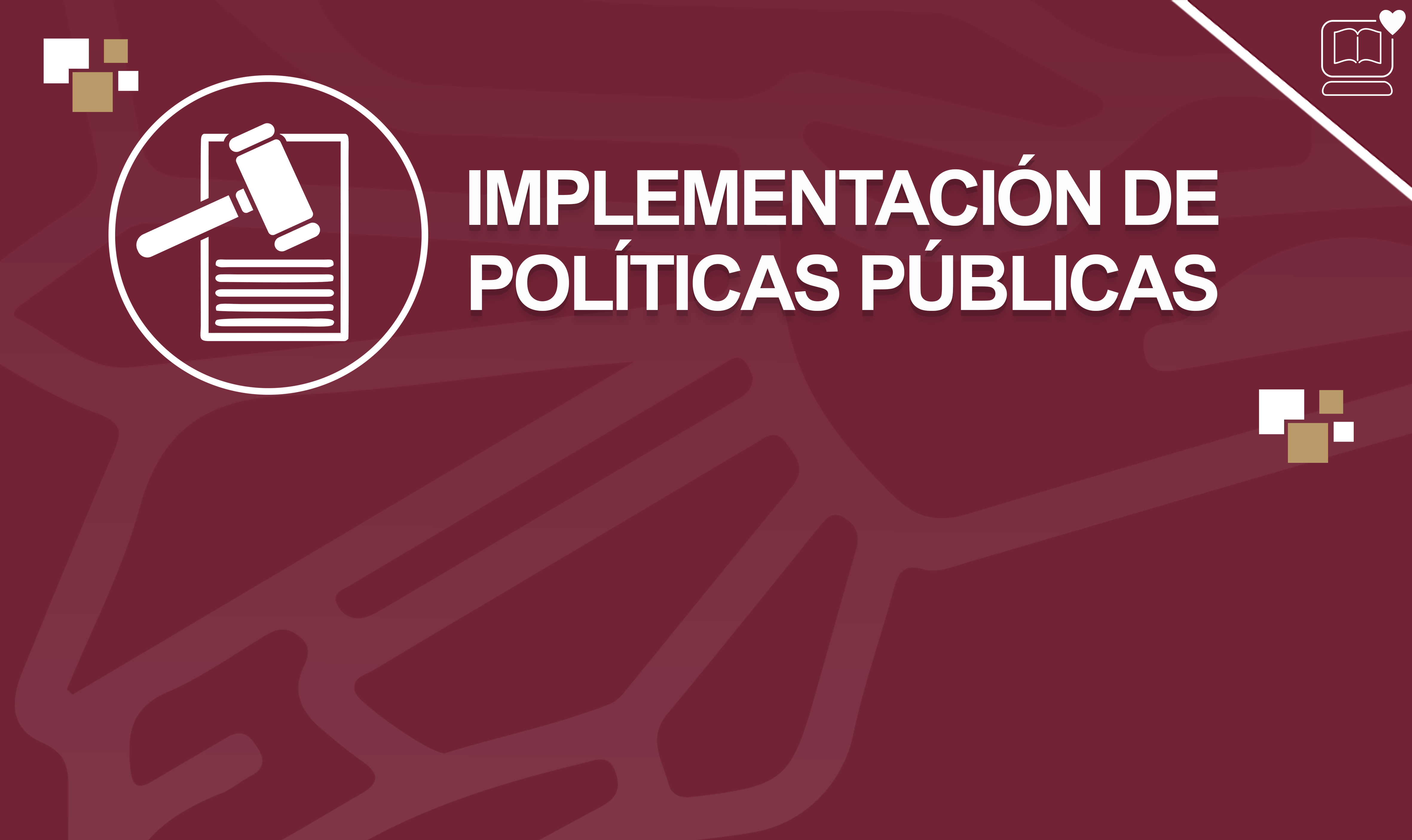 Implementación de Políticas Públicas IEDEP.MPP224373