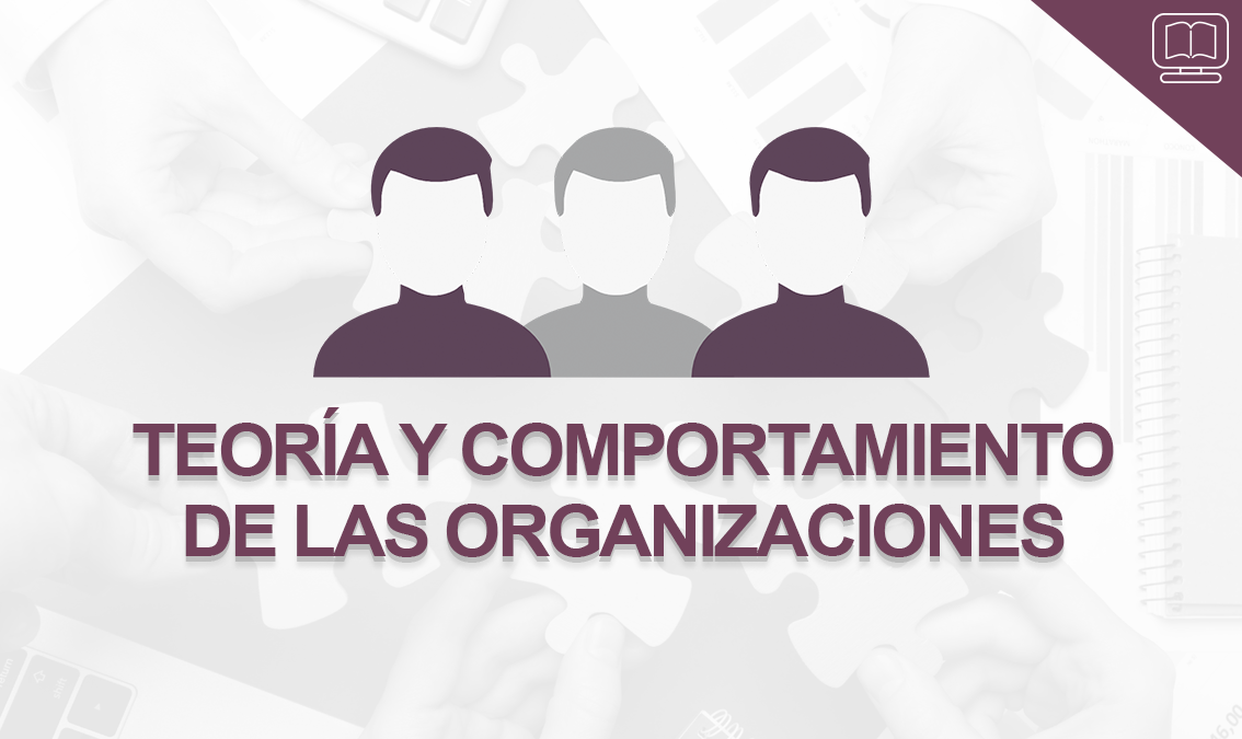 Teoría y Comportamiento de las Organizaciones IEDEP.PSC0404