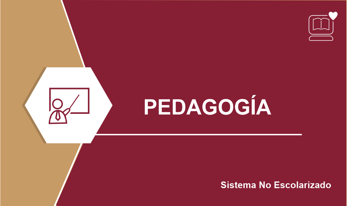 Licenciatura en Pedagogía IEDEP.SA_PED